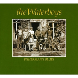 Fisherman's Blues ~ LP x1 180g